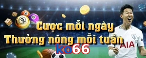 ko66